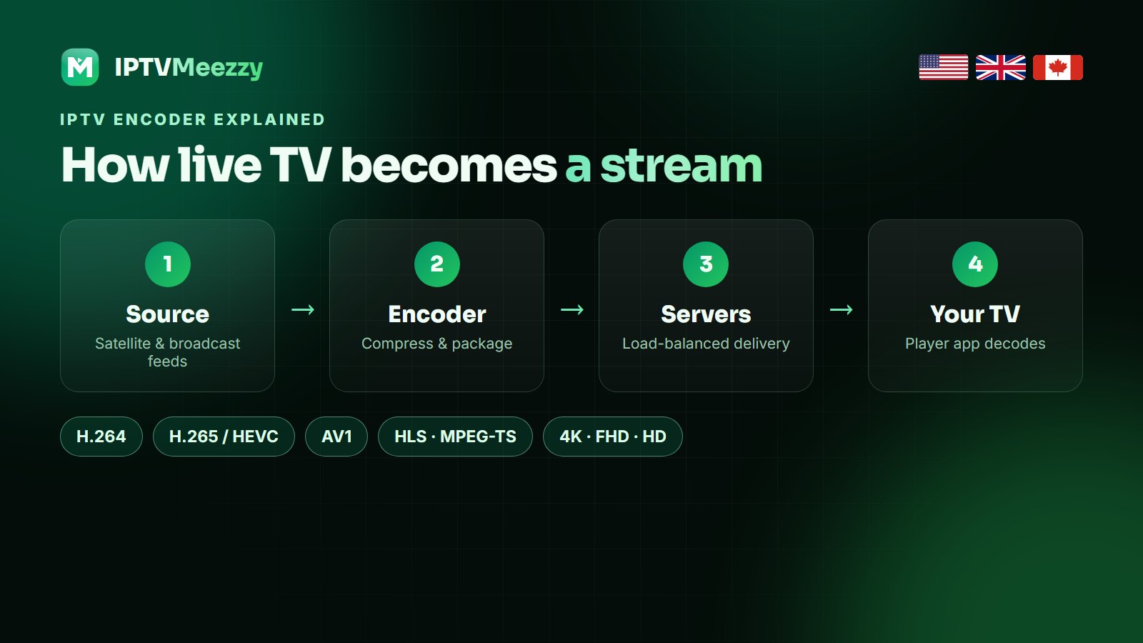 IPTV encoder explained - source, encoder, server and TV, IPTVMeezzy